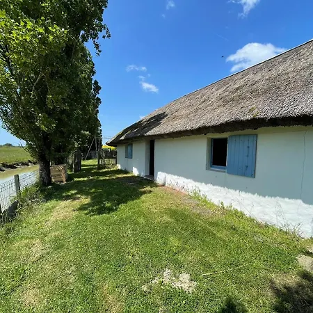 Charmante Chaumiere Traditionnelle Dans Le Marais Breton - Fr-1-426-584